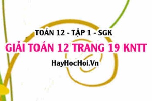 Giải Toán 12 trang 19 tập 1 Kết nối tri thức